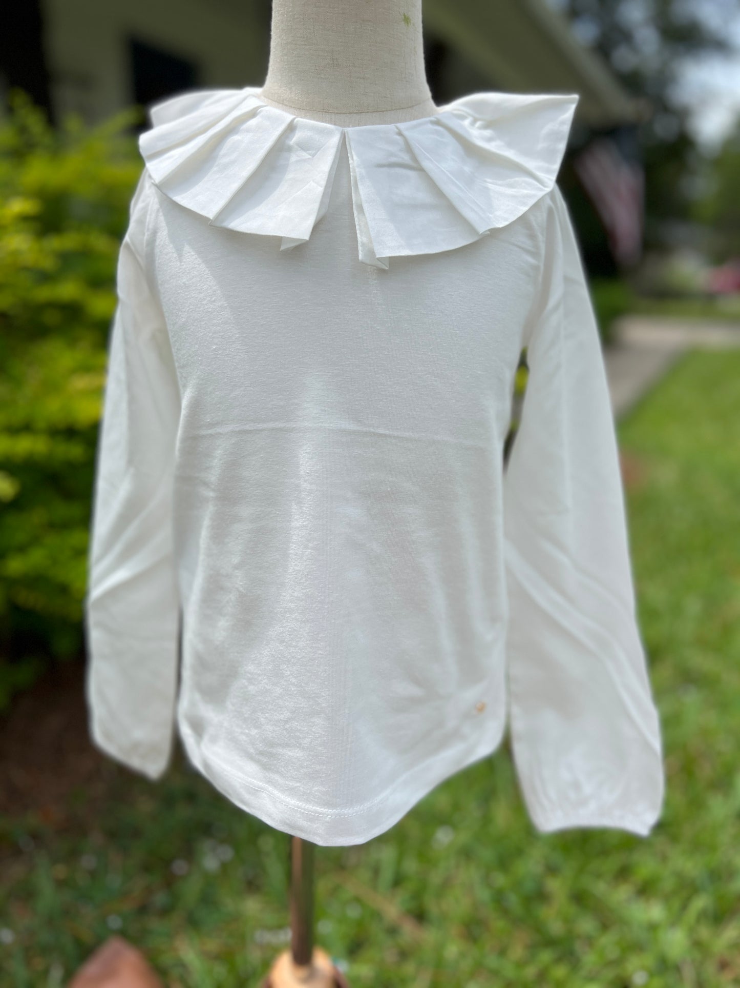 Long Sleeve Ruffle collar