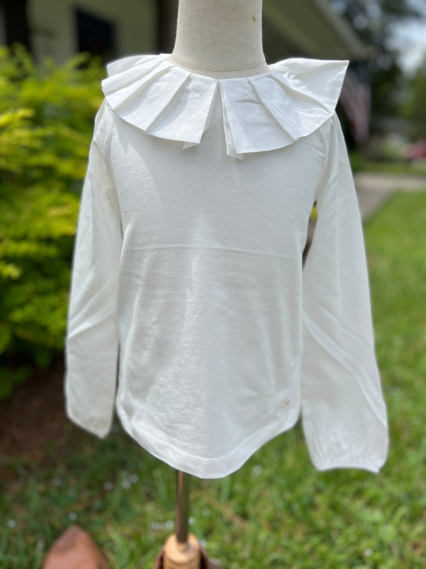 Long Sleeve Ruffle collar