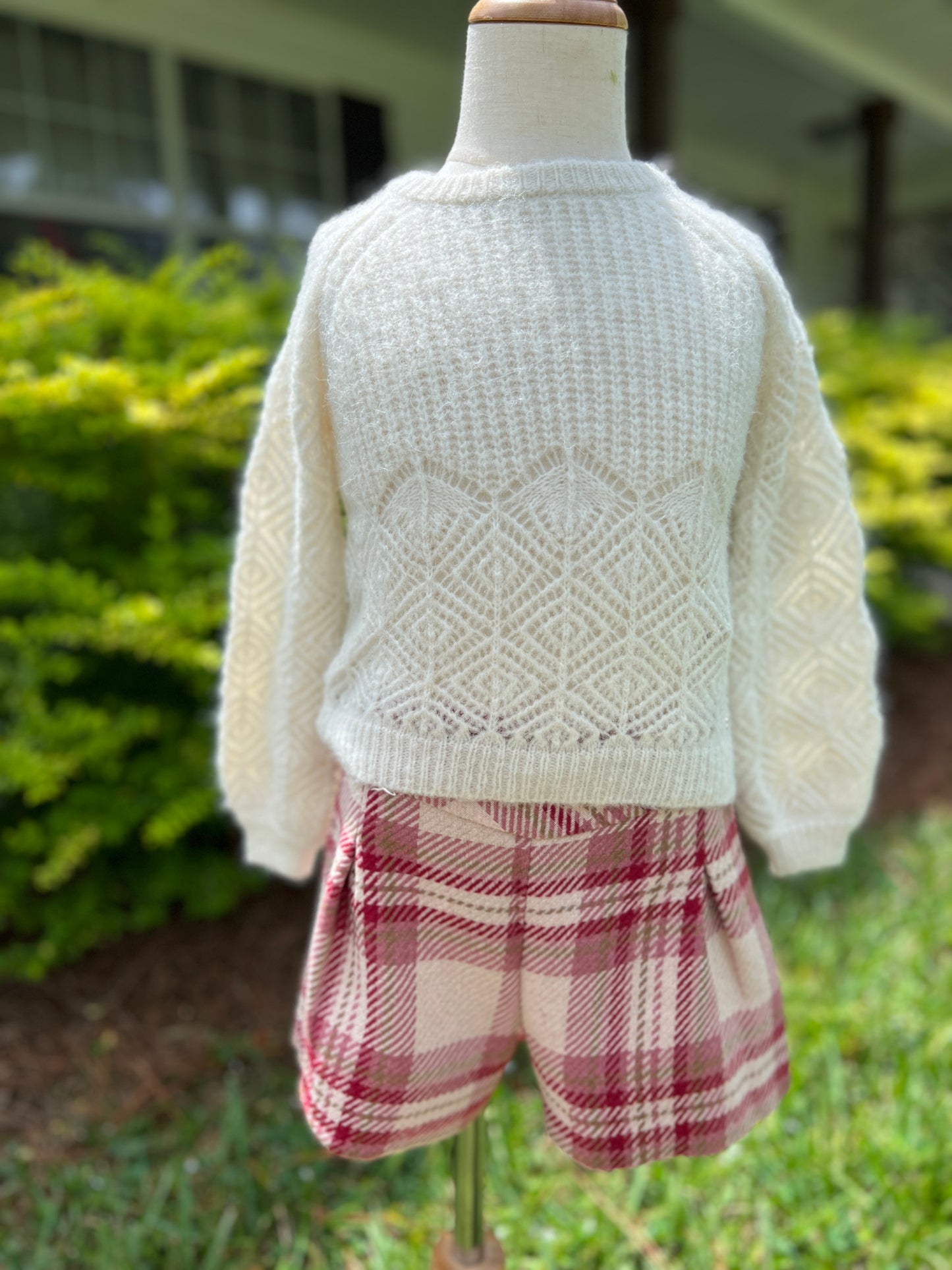 Raspberry plaid shorts